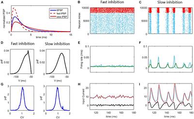 Hopf Bifurcation in Mean Field Explains Critical Avalanches in Excitation-Inhibition Balanced Neuronal Networks: A Mechanism for Multiscale Variability